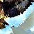 Орел атаковал голубя Attack Of An Eagle On A Dove