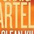 A Clean Kill Book 2 In The Ian Bragg Thriller Series