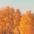 Timeless Romantic Saxophone Music For Special Moments