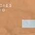 Lost Frequencies Zonderling Crazy HIDDN Remix