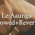 Le Aaunga Slowed Reverb Kartik Aryan Kiara Sloverb Lyrics