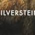 Silverstein Hide Your Secrets