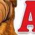 Alf The Original Theme Song