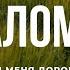 Псалом 24 Современный перевод Библии Biblevision