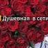 новая цыганская песня 2024 года пушка её ищут все пахнешь как нежная роза