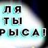 Каспаров Vs Алипов про бады Реакция Апокрифа