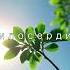 Миссия пророка Мухаммада Саллаллаху алейхи ва саллям ислам история коран берлин