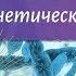 Биология 9 класс Пасечник 18 Решение генетических задач