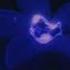 Black Sea Natasha Blume Slowed