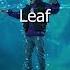 Doublej Leaf