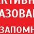 Эффективное образование Программа ВУЗА за 1 год