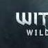 33 Ladies Of The Woods The Witcher 3 Wild Hunt