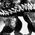 King Kong Vs Rhedosaurus Fan Made Kaiju Battle