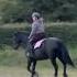 Practice Makes Perfect Ponies Horse Improve Equine Pony Showjumping Welsh Mandms