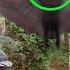 8 Creepiest Discoveries Found In The Middle Of The Jungle