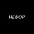 НЕФОР Speed Up