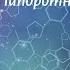 Биология 7 кл Пасечник 14 Папоротниковидные