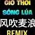 抖音 Gió Thổi Sóng Lúa Remix 李健 风吹麦浪