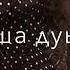 Жима дог Ирсаха