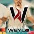 Weylo Grup Weylo Project Weylo