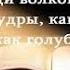 Итак будьте мудры как змии и просты как голуби А И Осипов