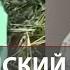 Убийство в доме Скопинского маньяка Виктор Мохов признался в сокрытии преступления