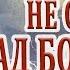 Никто не смеётся над Богом в больнице Наталья Шевченко