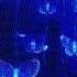 Wallows Are You Bored Yet Sped Up