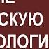 Введение в латинскую анатомическую терминологию