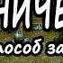 Травничество как способ заработка