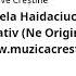 Daniela Haidaciuc Lupt Pentru Tine Negativ Ne Original Www Muzicacrestina Audio