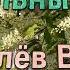 Хрустальный замок Королёв Виктор мастер минус Master Kit