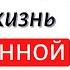 Если в КАРТИНЕ МИРА человека нет БОГА то жизнь обессмысливается Арестович