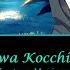 Somali And The Forest Spirit OP Full Arigatouwa Kocchino Kotoba Lyrics Romaji English