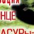 Цивилизация на СОЛНЦЕ 50 метровый АСУРы Виктор Максименков