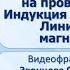 Тема 25 Действие магнитного поля на проводник с током Индукция магнитного поля Линии индукции