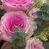 Pink Flowers Flowers Birthday Beach Event Happy Life Roxy