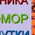 ЮМОРИСТИЧЕСКИЙ КОНЦЕРТ ДЕНЬ СОЦРАБОТНИКА ЛУЧШИЕ ШУТКИ И ПРИКОЛЫ ОТ ЮМОРИСТОВ БОРИСОВОЙ И ЕГОРОВА