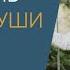 Уменьшаем ХРУСТ и БОЛЬ в КОЛЕНЯХ Здоровые колени это гибкость ДУШИ