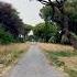 La Strada Di Roma Shorts Youtubeshorts Rome Ilvolo Gladiator Eternalcity Roma