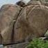 What SNAIL ROCK FORMATION Asmr Wind Sound Asmr Explore Viral Shorts Nature