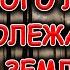 Много лет пролежали в земле Древние находки в старом лесу