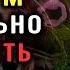 ТЕСТ НА ЭРУДИЦИЮ Эти 15 вопросов ОСИЛИТ НЕ КАЖДЫЙ насколькостармозг эрудиция тестнакругозор