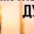 Мужская душа Психологический путеводитель по хрупкому миру сильного Бьорн Зюфке аудиокнига