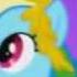 MLP FiM At The Gala Rainbow Dash Solo Multi Language