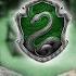 SLYTHERIN POMODORO Study Session 50 10 Harry Potter Ambience Focus Relax Study In Hogwarts