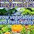 Baking Soda With Vinegar And Salt Shortvideo Plants Youtubeshorts Howto Viralvideo Video