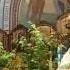 Sunday Of The Holy Pentecost Father Nicholas Garklavs Homily 6 23 24