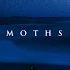 RY X Moths