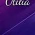 Bilionera Song By Otilia Bilionera Song In Hindi Lyrics